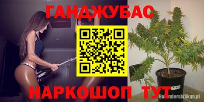 гашик Ливны