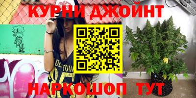 гашик Ливны