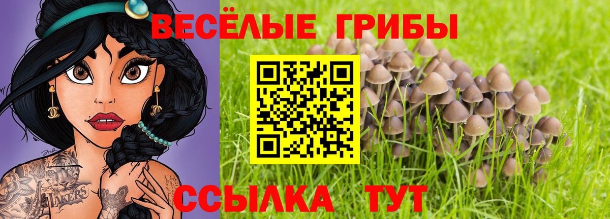 Псилоцибиновые грибы GOLDEN TEACHER  Псилоцибиновые грибы мицелий  цены наркотик  Вход с VPN  Йошкар-Ола 